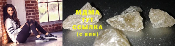 PSILOCYBIN Бородино