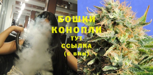 PSILOCYBIN Бородино