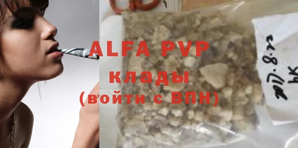PSILOCYBIN Бородино