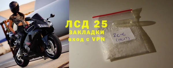 PSILOCYBIN Бородино