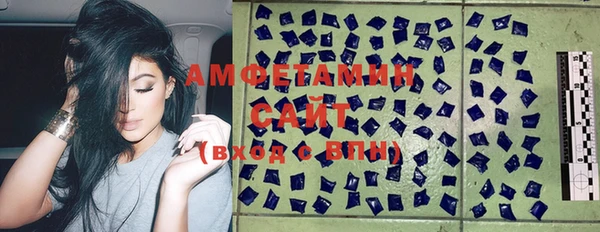 PSILOCYBIN Бородино