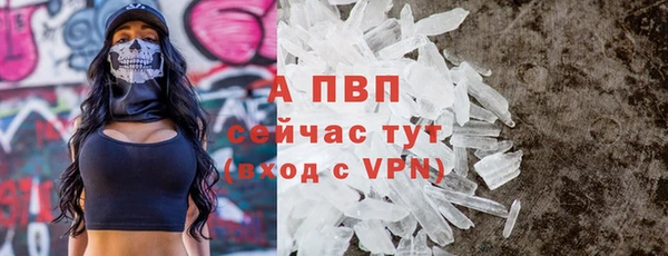 PSILOCYBIN Бородино