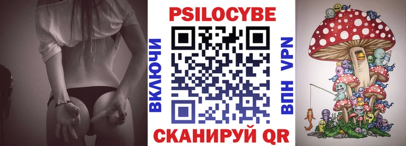 Галлюциногенные грибы Psilocybine cubensis Орехово-Зуево